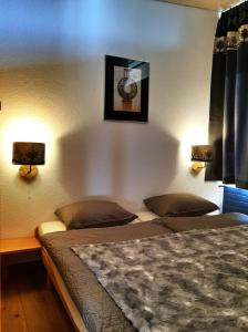 Postel nebo postele na pokoji v ubytování Leysin Lodge