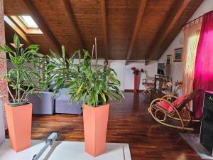 Gallery image of La Finestra sul Castello in Roppolo