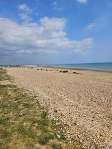 a beach with a group of animals walking on it at White Lodge in Winchelsea