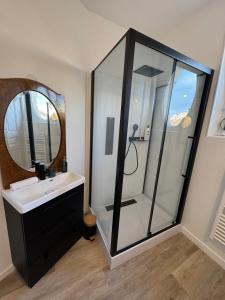 a bathroom with a shower with a sink and a mirror at Rio, Hyper center, Proche Gare in Reims +19 photos