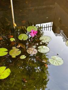 Bilde i galleriet til Nights & Rains - the ultimate quiet getaway i Trivandrum
