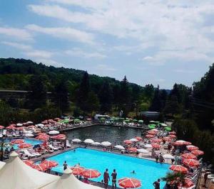 Photo de la galerie de l'établissement Hotel Baia Rosie Resort, à Slănic
