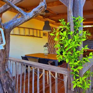 a dining room with a wooden table and a tree at Casa Cingoli in Cingoli