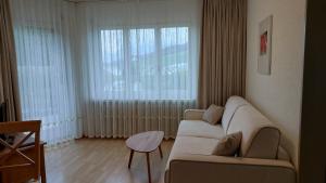 Posezení v ubytování Lucerne Apartment Mount Pilatus