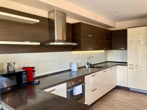 Η κουζίνα ή μικρή κουζίνα στο Sunny Lotus Apartamentai