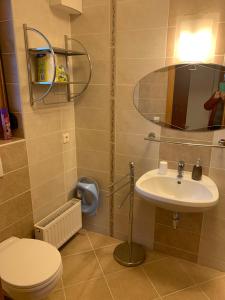 a bathroom with a toilet and a sink at Hunor Apartmanok Napsugár in Balatonlelle