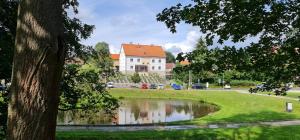 a house with a pond in front of a building at Ela Apartments Farní in Skalná