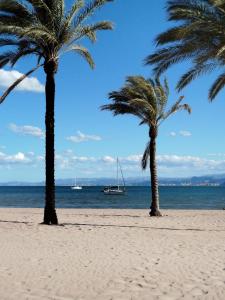 two palm trees on a beach with a boat in the water at Cullera Playa de los Olivos Apartment in Faro de Cullera