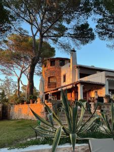 Zahrada ubytování Villa Colina Ibiza