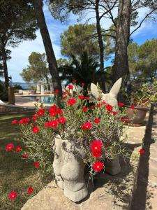 Zahrada ubytování Villa Colina Ibiza