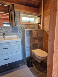 a bathroom with a toilet and a sink at Vakantie Ouddorp in Ouddorp