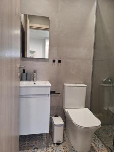 a bathroom with a toilet and a sink and a mirror at LV Home Lasithi in Agios Georgios +15 photos