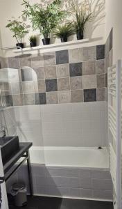 ラ・クロワ・ヴァルメにあるBeautiful studio with balcony - near city centerのバスルーム(鉢植えの植物が入ったバスタブ付) +1枚の写真