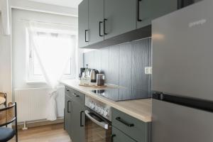 a kitchen with gray cabinets and a refrigerator at gemütliches Stadtloft in Dessau in Dessau