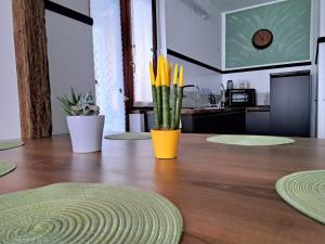 Φωτογραφία από το άλμπουμ του Seraval Valsesia Apartment σε Serravalle Sesia