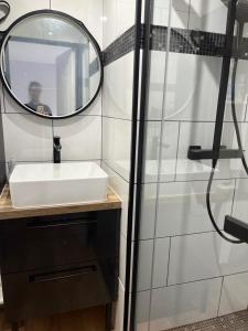 a bathroom with a sink and a mirror at Studio a Berck proche plage in Berck-sur-Mer