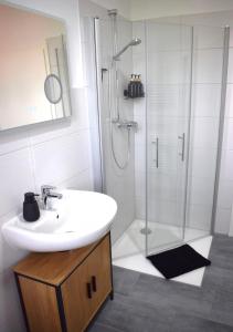 イルセンブルクにあるHarz Huus Apartment "Tanne"の洗面台とシャワー付きのバスルーム