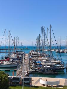 Ein Haufen Boote, die in einem Yachthafen angedockt sind. in der Unterkunft Adoya plage Studio cabine vue port et mer in Le Grau-du-Roi