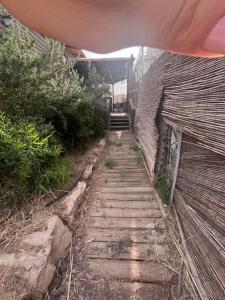 Foto sihtkohas Ein Tamar  asuva majutusasutuse סילאן וסנסן galeriist