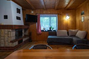 a living room with a couch and a fireplace at Domek nad jeziorem in Kretowiny