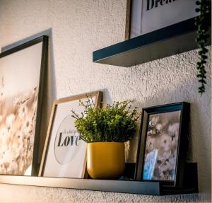 a shelf with pictures and a yellow pot with a plant at T2 centre ville, 150m du lac, parking - Thermes in Évian-les-Bains