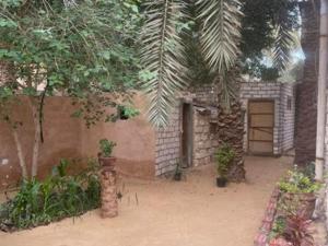 Κήπος έξω από το Siwewi green house