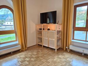 TV a/nebo společenská místnost v ubytování appartement bumblebee