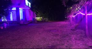ein Haus mit lila Lichtern in einem Hof in der Nacht in der Unterkunft Sunrise Resort in Araku