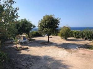 Φυσικό τοπίο κοντά σε αυτή η παραθεριστική κατοικία +4 φωτογραφίες