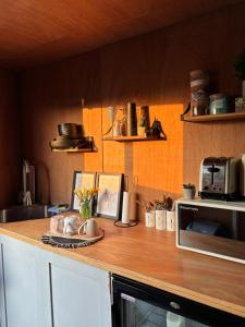 Φωτογραφία από το άλμπουμ του Baggies No.2 στο Μπράιτον & Χόουβ