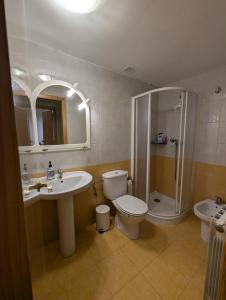 a bathroom with a toilet and a sink and a shower at Casa espelunciecha in Biescas