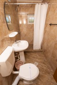 a bathroom with a toilet and a sink at Vila Cornelius in Costinesti