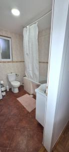 ANA Apartment的一间浴室