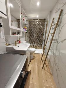 ein Badezimmer mit Toilette, Waschbecken und Dusche in der Unterkunft Charmant Studio in La Motte-dʼAigues