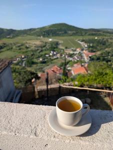 Fotografie z fotogalerie ubytování Studio apartman Bel Vedere v destinaci Motovun