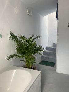 Fotografie z fotogalerie ubytování Village Town House with Sea Views and Roof Top Terrace v destinaci Frigiliana