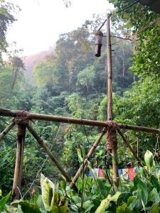 Imagen de la galería de Triloka Dorm by The Offbeat Crew, en Munnar 9 fotos más