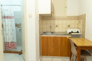a small kitchen with a sink and a shower at HOTEL PAVLOS in Paralia Katerinis +90 photos