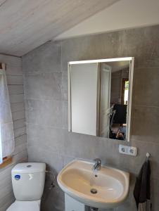 a bathroom with a sink and a toilet and a mirror at Ferienhaus am See Wutzsee mit direktem Seezugang in Lindow +10 photos