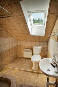 een badkamer met toilet en wastafel bij Pod Kolavou in Zdobnice