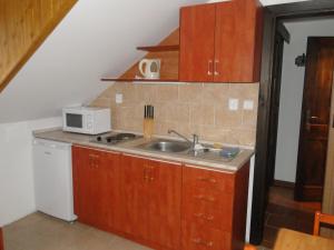 een kleine keuken met een spoelbak en een magnetron bij Pod Kolavou in Zdobnice