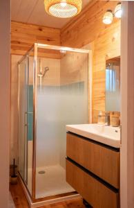 Chalet du Courlis, les cabanes océanes-MONTAにあるバスルーム