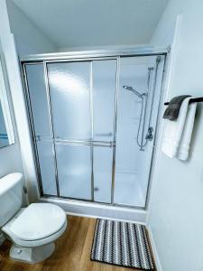 キシミーにあるKissimmee Vacation Beautiful Homeのシャワーとトイレ付きのバスルーム