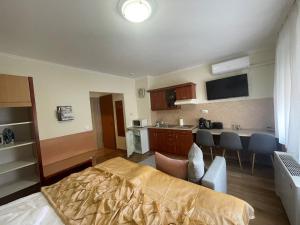 Køkken eller tekøkken på Termál Schmitz Apartmanok B6