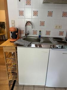 a kitchen with a sink and a counter top at Sky view, Forest Apartments Menzenschwand in St. Blasien