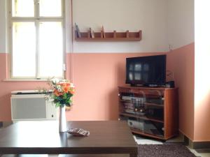 a living room with a tv and a table at Holiday house Mernye in Mernye