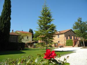 Vonkajšia záhrada v ubytovaní Country House Le Case Coloniche