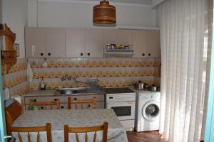 Η κουζίνα ή μικρή κουζίνα στο Athina's apartment +16 φωτογραφίες