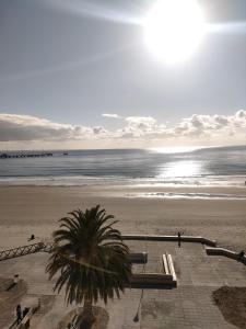 Naturlandskabet i nærheden af lejligheden