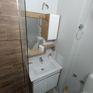 een kleine badkamer met een wastafel en een douche bij A&A Apartments in Sarajevo